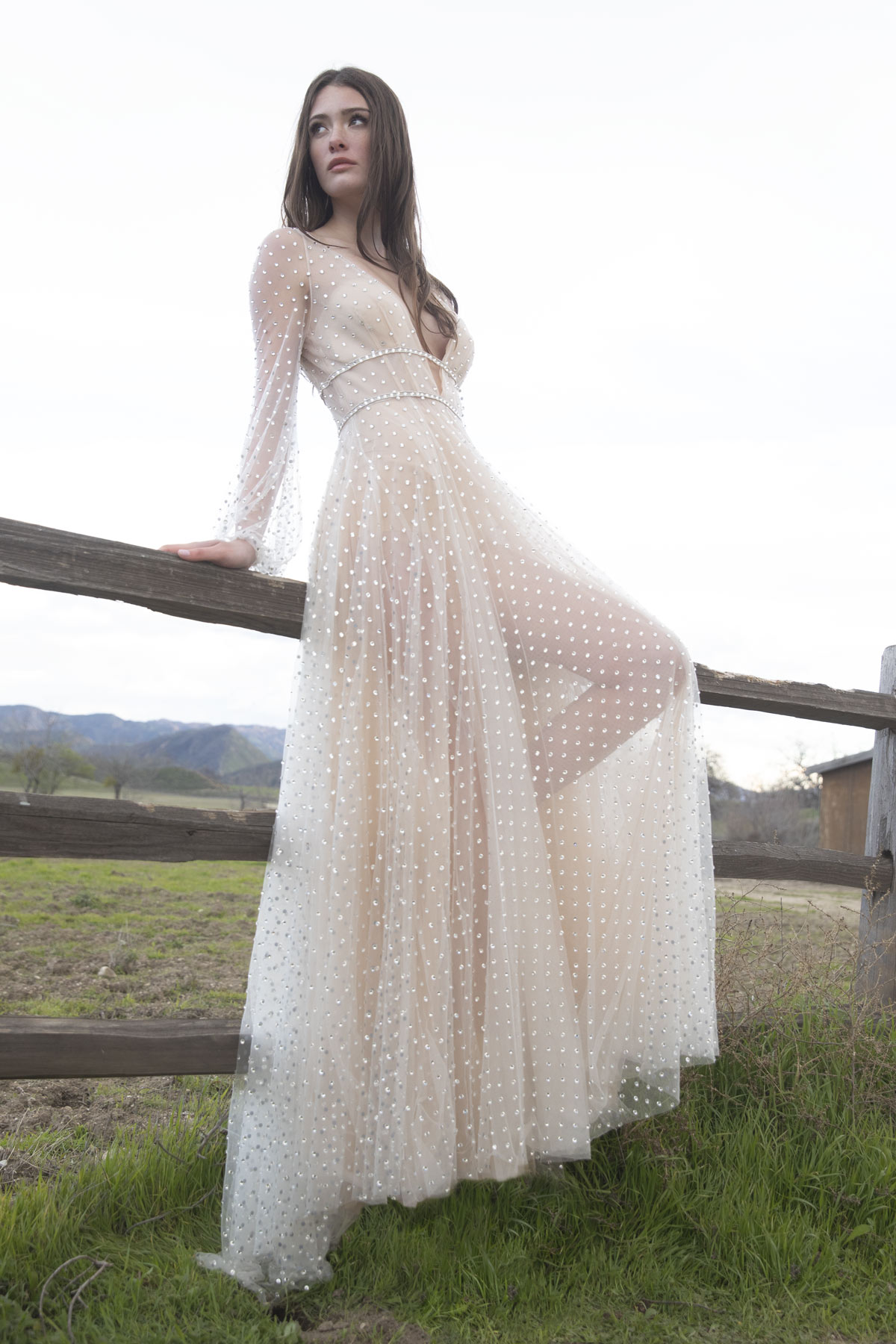 minnie celebration dress
